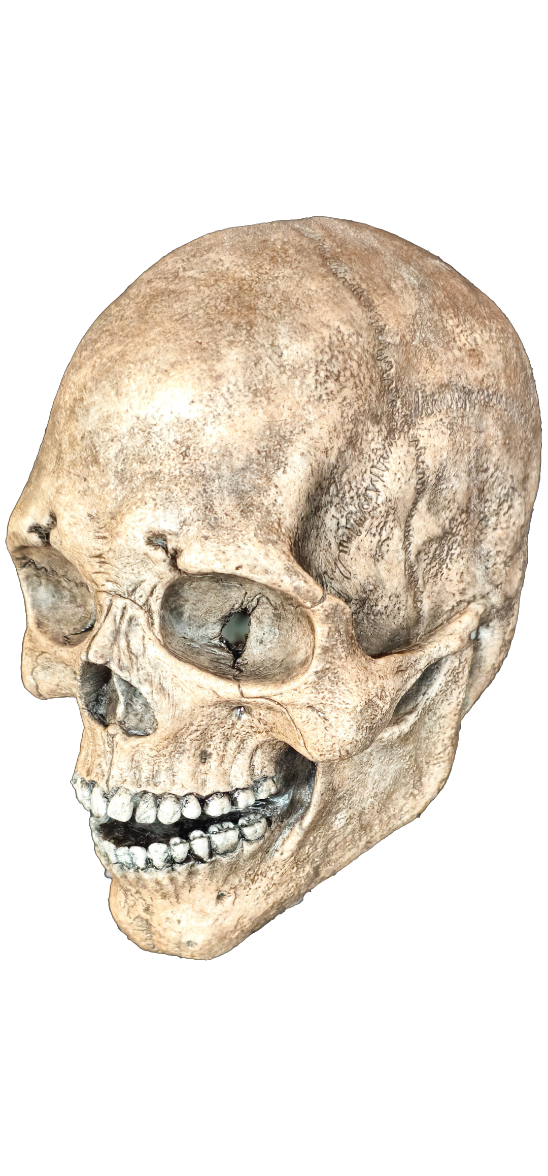 Silicone skull mask real bone texture skeleton