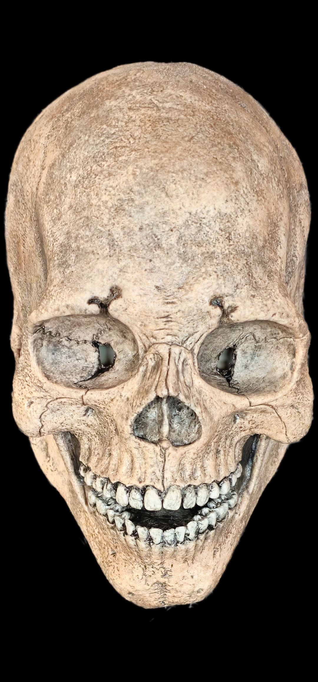 silicone skull mask realistic skeleton face