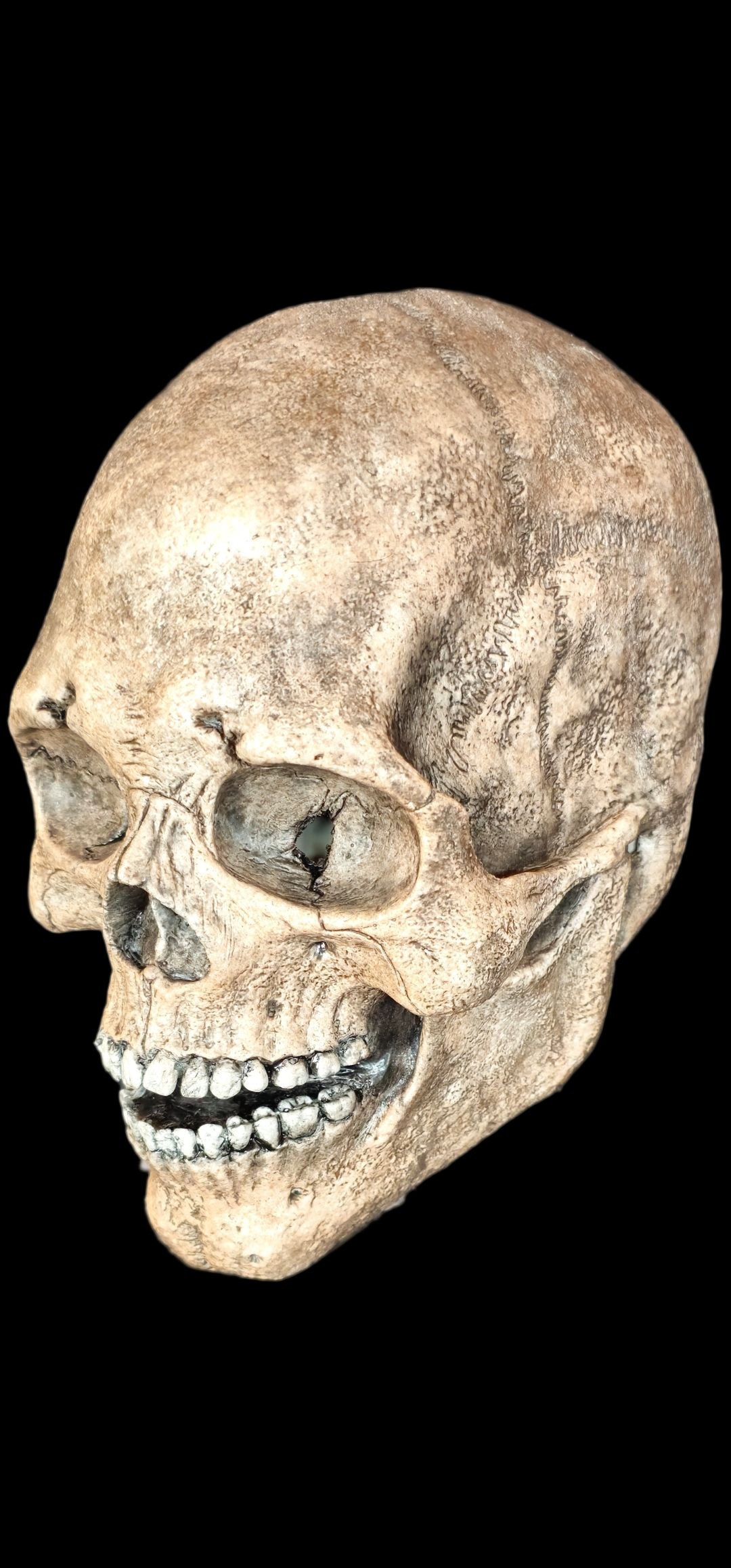 silicone skull mask realistic skeleton face