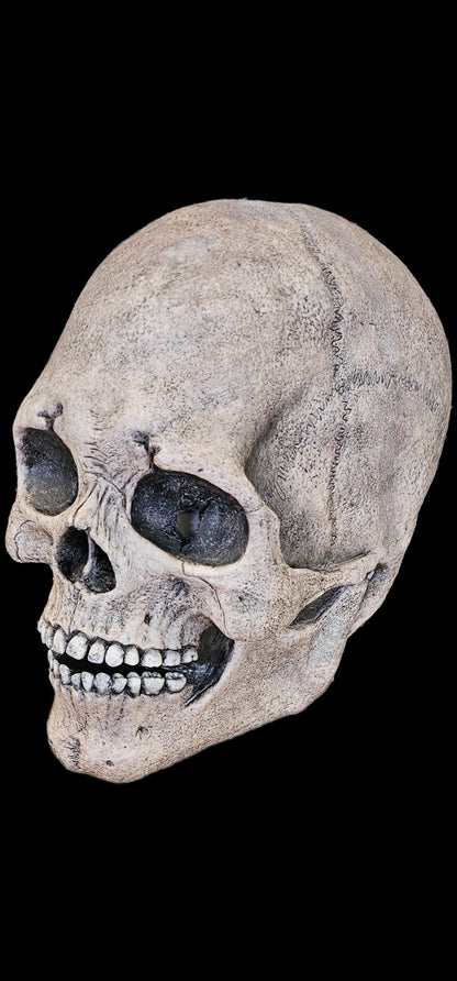 silicone skull mask realistic skeleton face