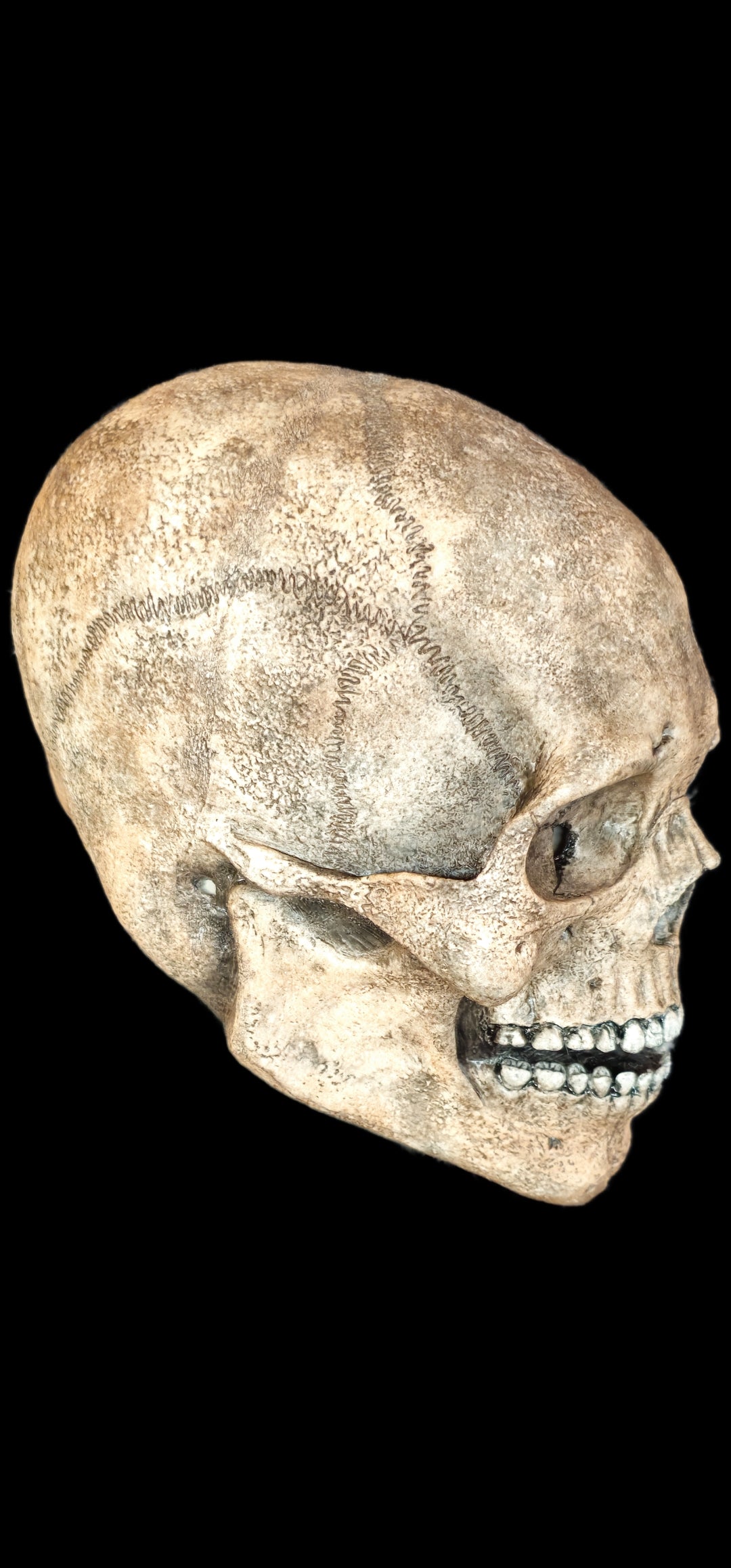 silicone skull mask realistic skeleton face