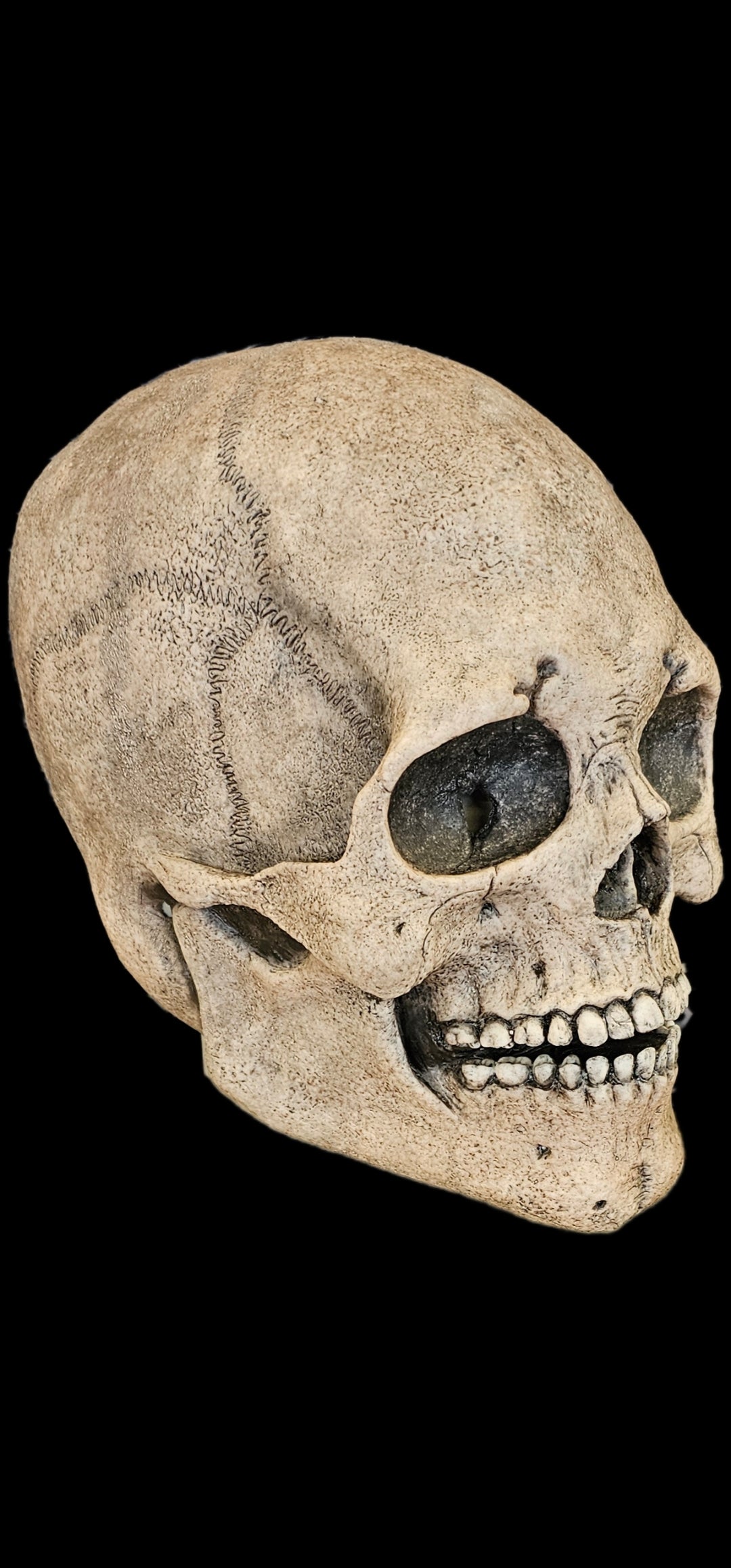 silicone skull mask realistic skeleton face