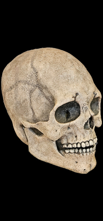 silicone skull mask realistic skeleton face