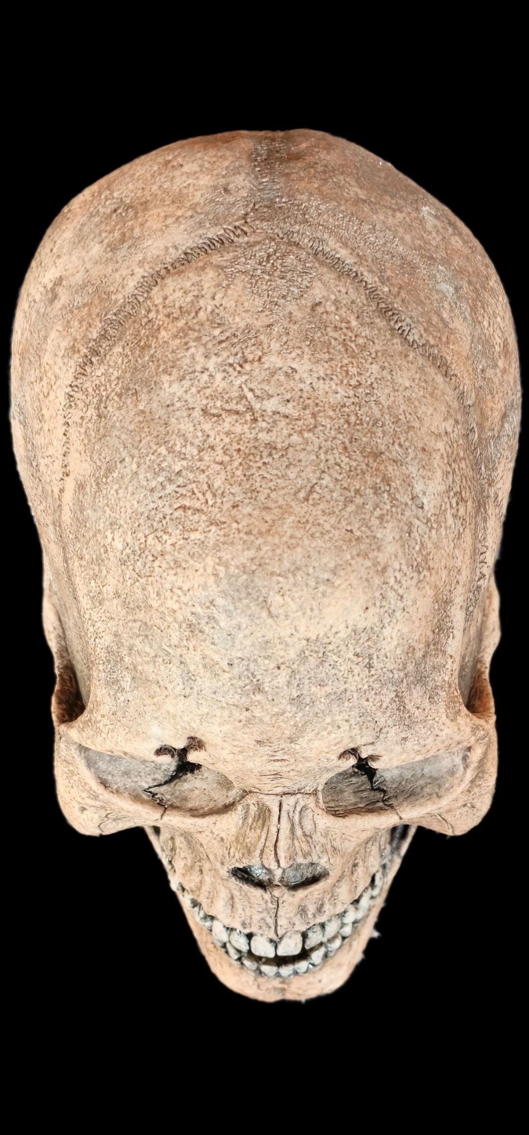 silicone skull mask realistic skeleton face