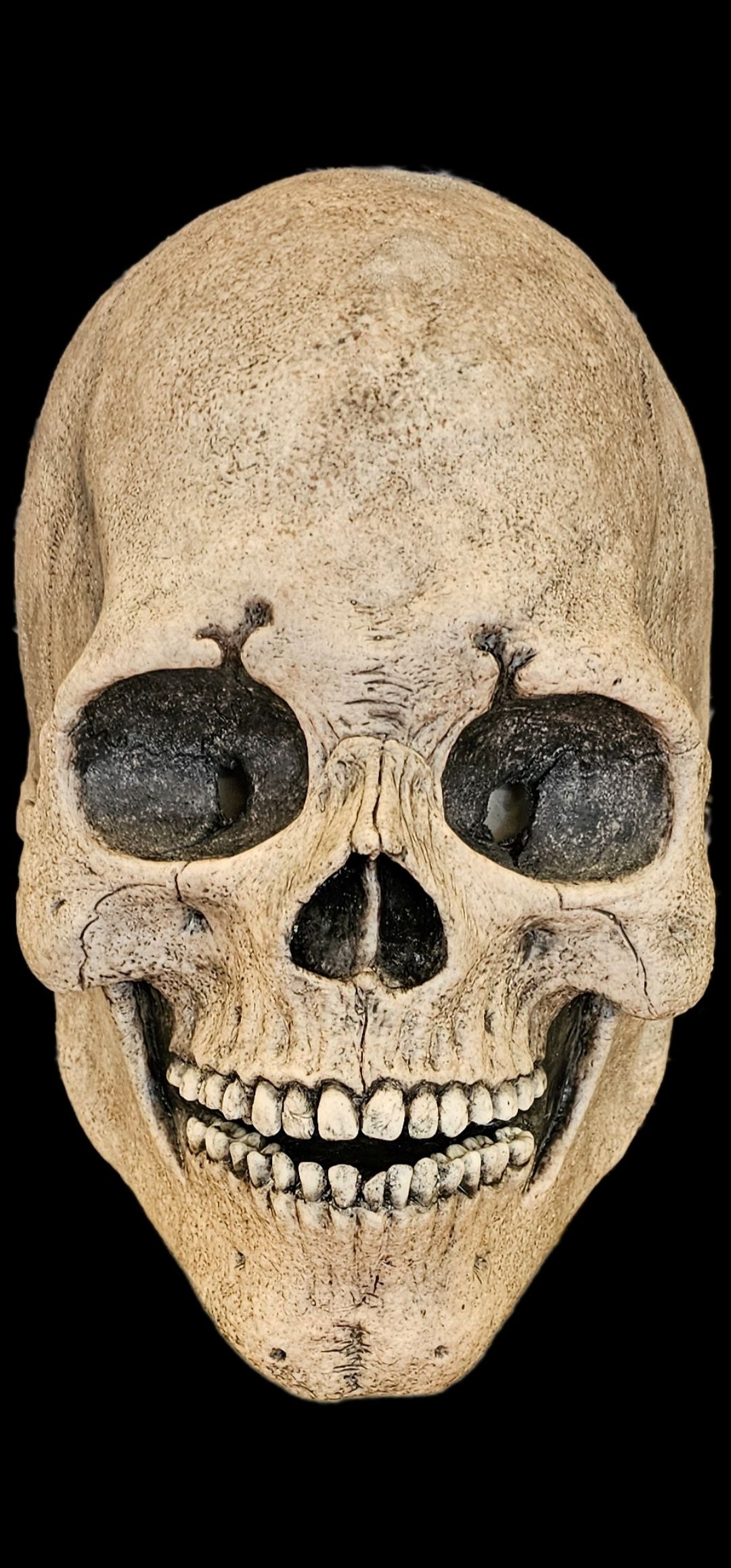 silicone skull mask realistic skeleton face